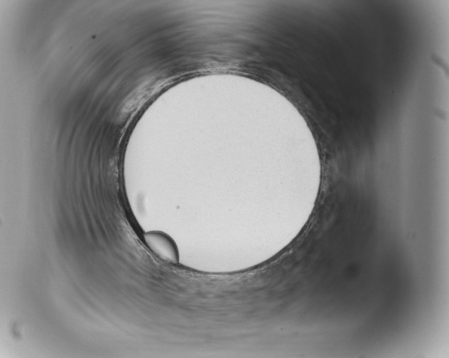 X0000103930002200810171802