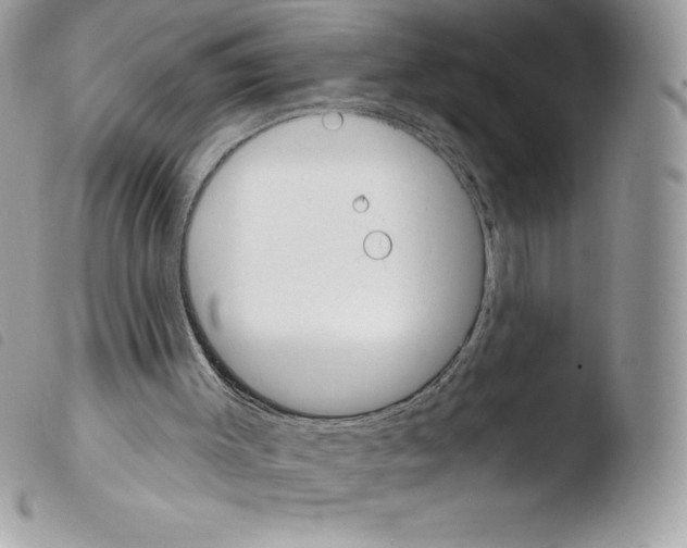 X0000103930003200810171802