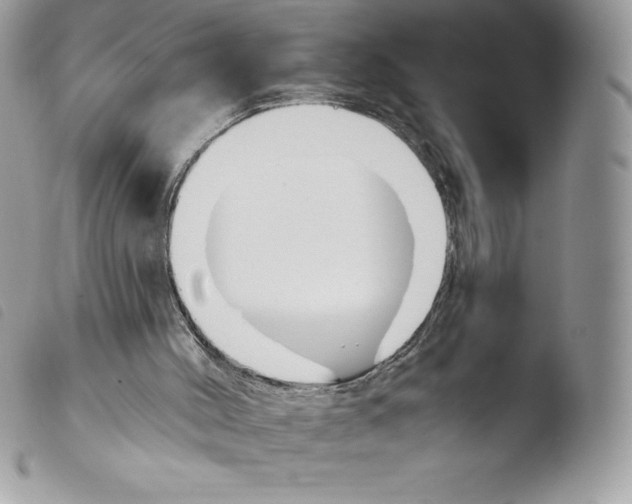 X0000103930004200810171802