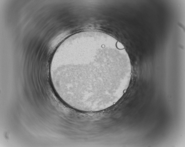 X0000103930005200810171802