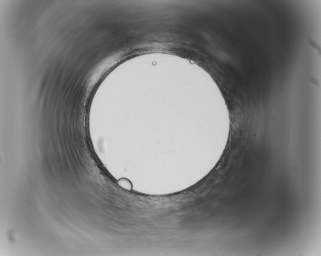 X0000103930006200810171802