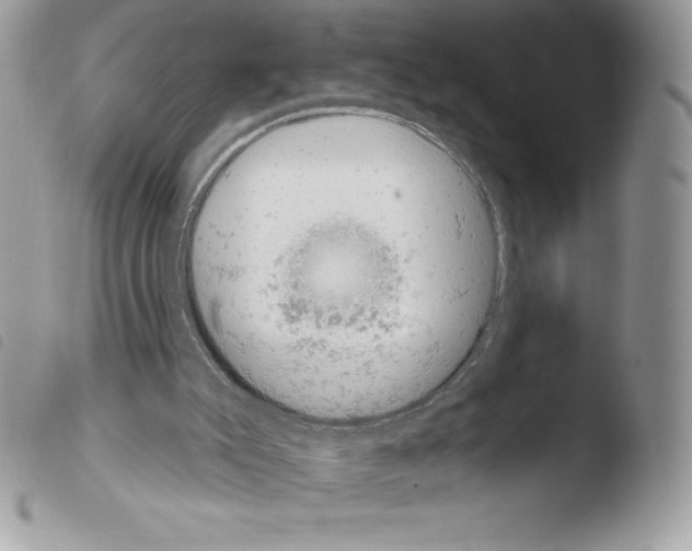 X0000103930007200810171802