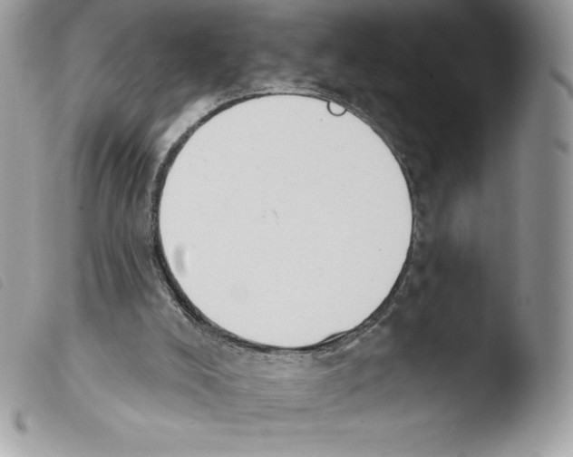 X0000103930008200810171802