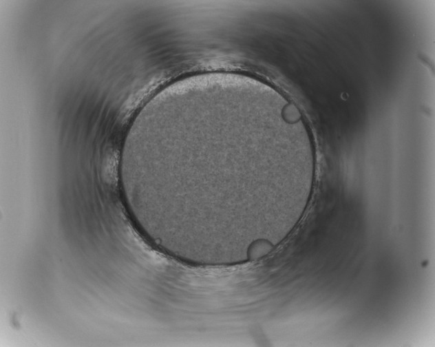 X0000103930009200810171802