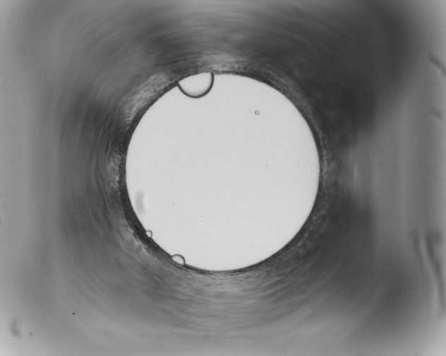 X0000103930010200810171802