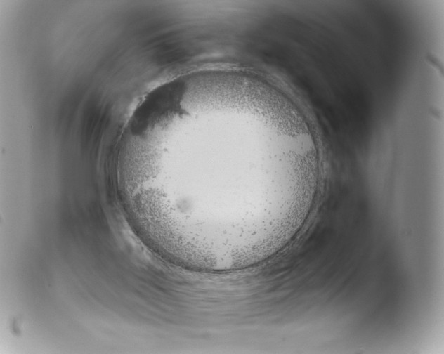 X0000103930011200810171802