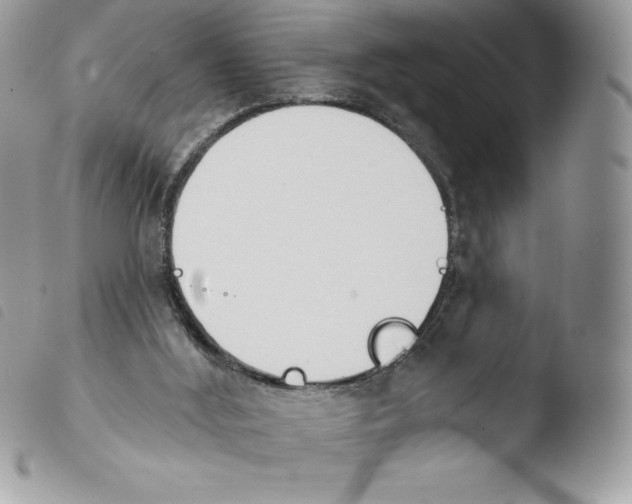 X0000103930012200810171802