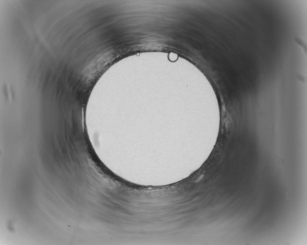 X0000103930013200810171802