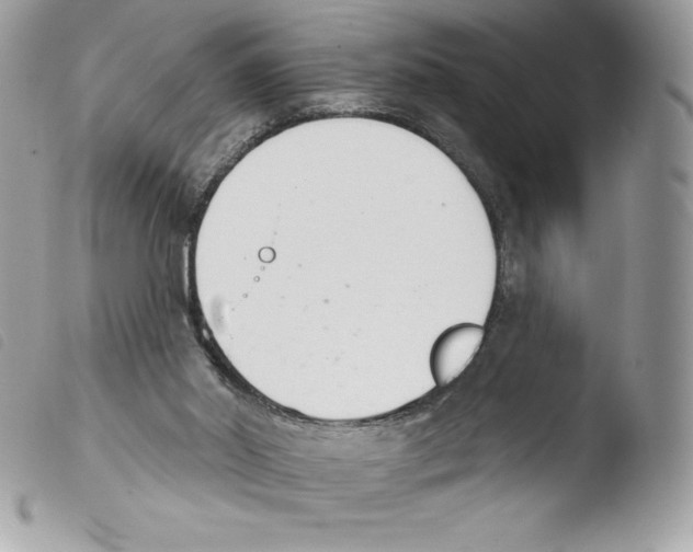 X0000103930014200810171802