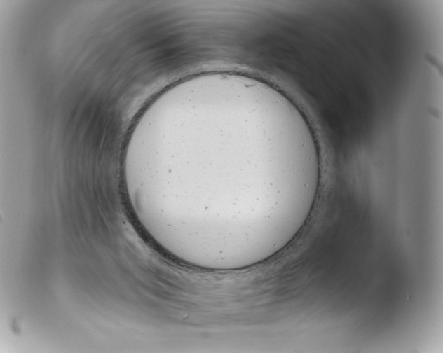 X0000103930015200810171802