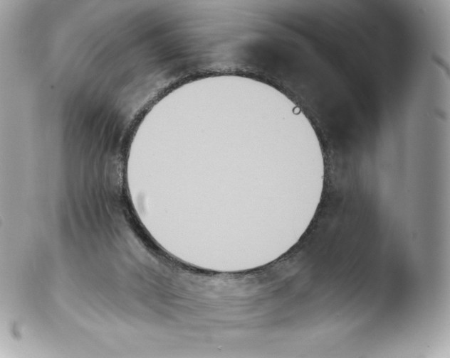 X0000103930016200810171802