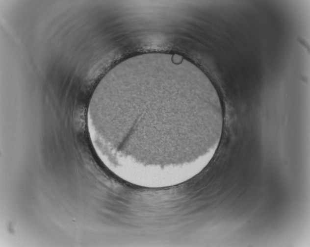 X0000103930017200810171802