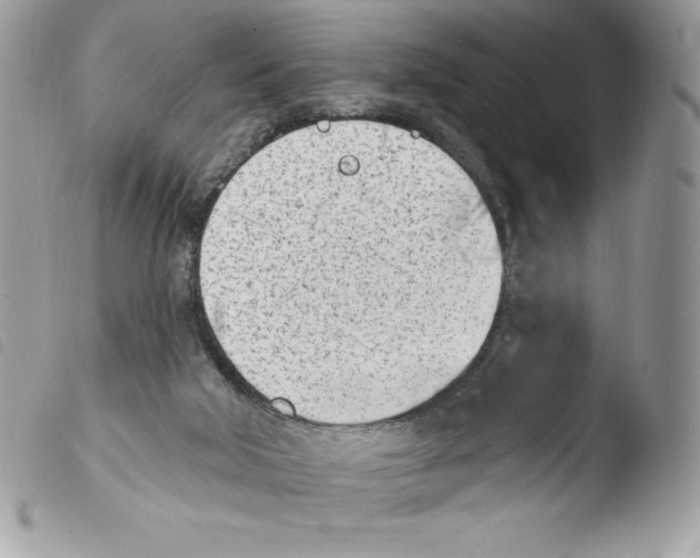 X0000103930018200810171802