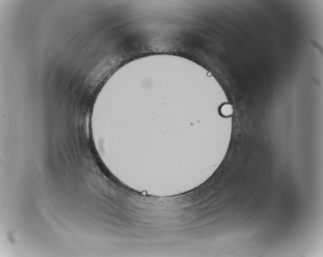 X0000103930019200810171802