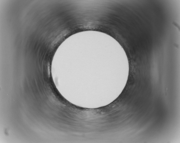 X0000103930020200810171802