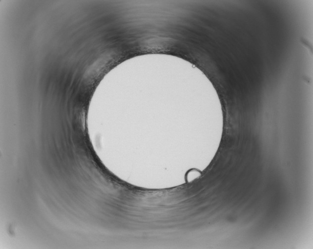 X0000103930021200810171802