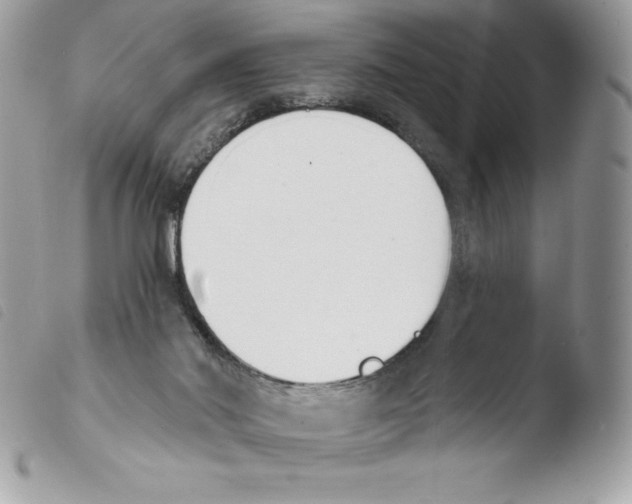 X0000103930022200810171802