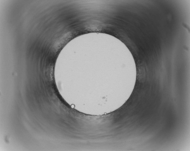 X0000103930023200810171802