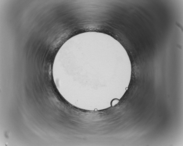 X0000103930024200810171802