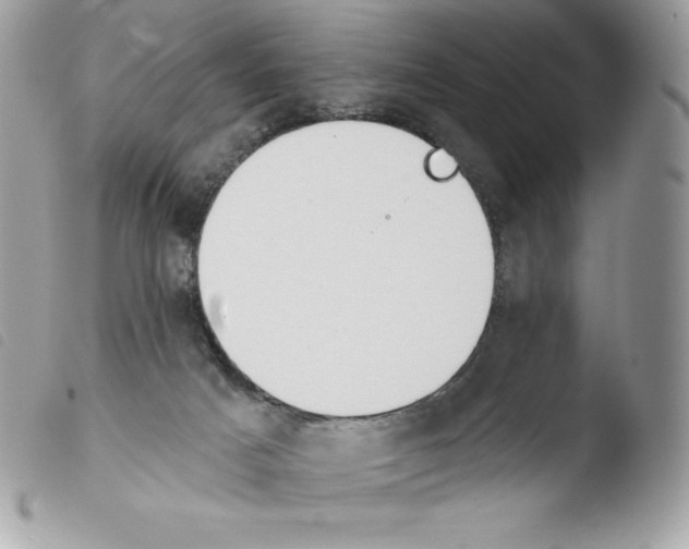 X0000103930025200810171802