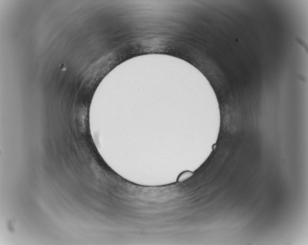 X0000103930026200810171802