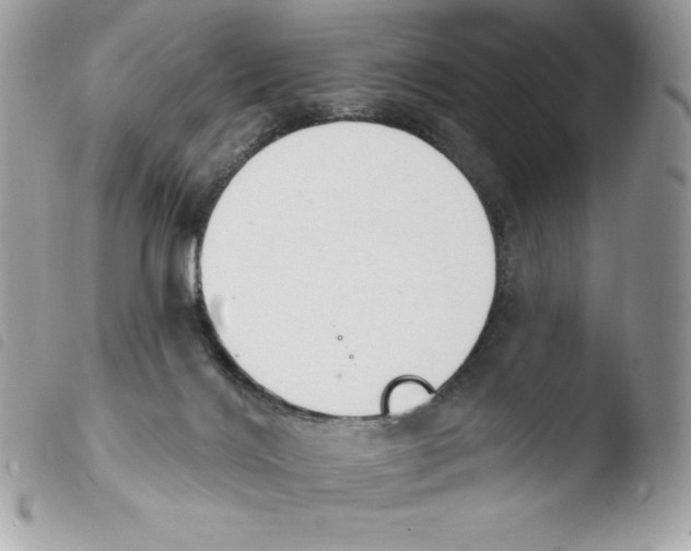 X0000103930028200810171802