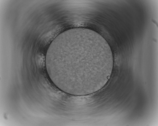 X0000103930029200810171802