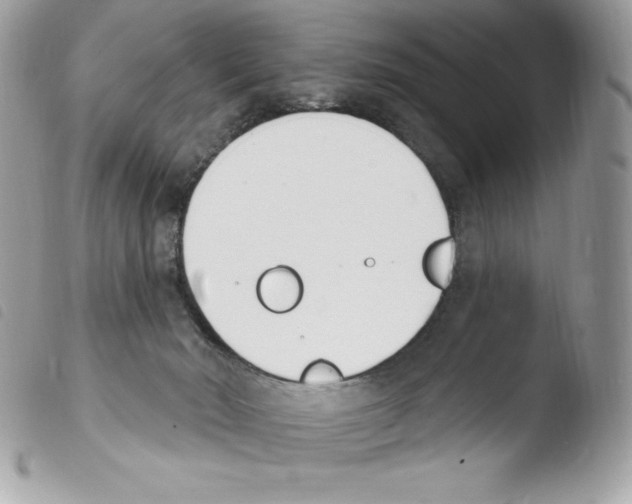 X0000103930030200810171802