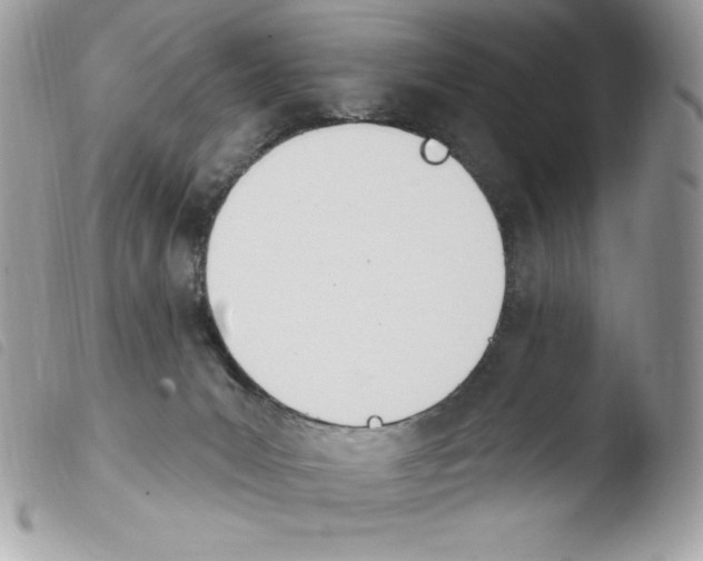 X0000103930031200810171802