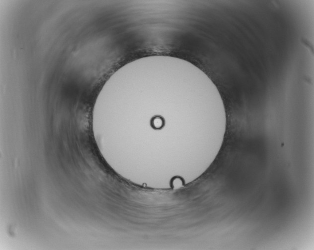 X0000103930032200810171802