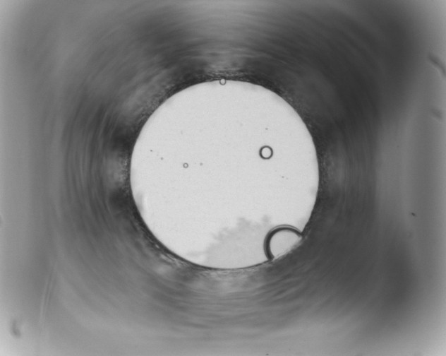 X0000103930033200810171802