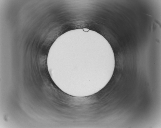 X0000103930034200810171802