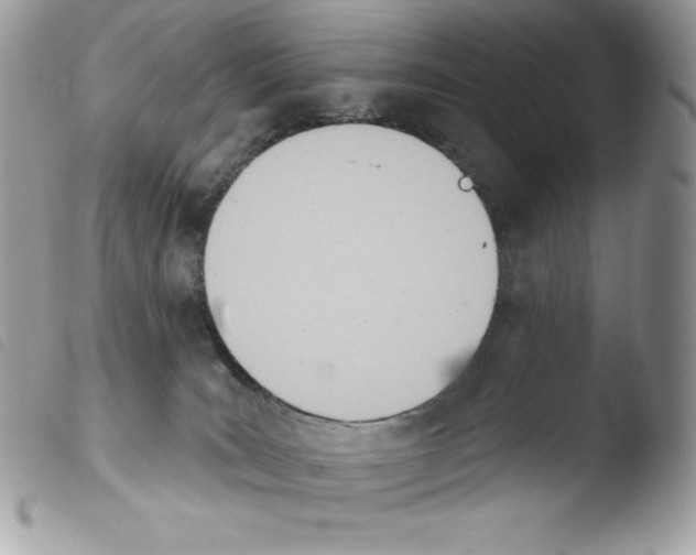 X0000103930035200810171802