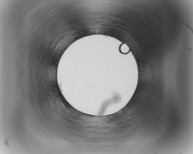 X0000103930036200810171802