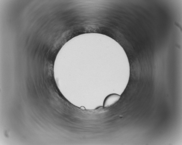 X0000103930038200810171802