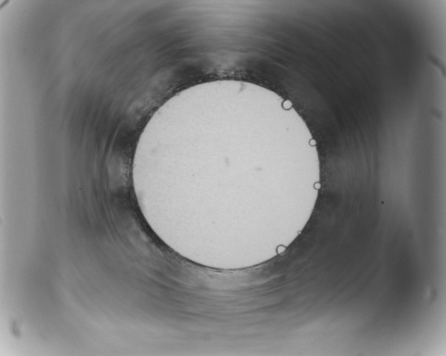 X0000103930039200810171802