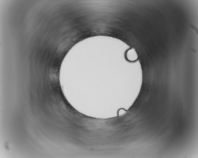 X0000103930040200810171802