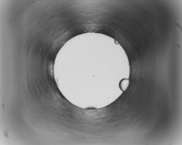 X0000103930042200810171802