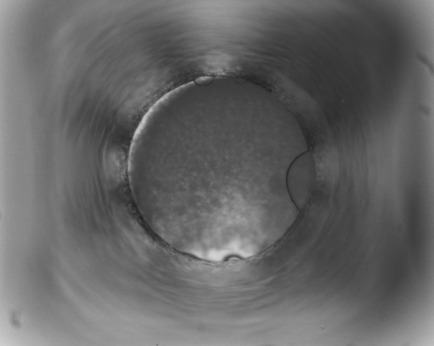 X0000103930043200810171802