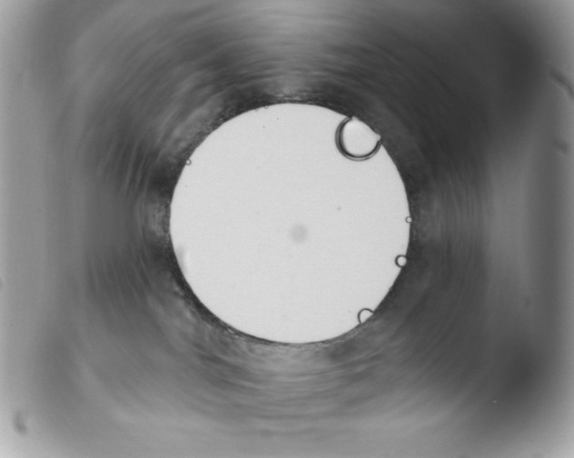 X0000103930044200810171802