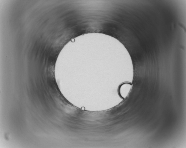 X0000103930045200810171802