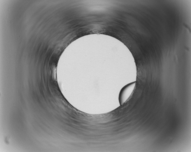 X0000103930046200810171802