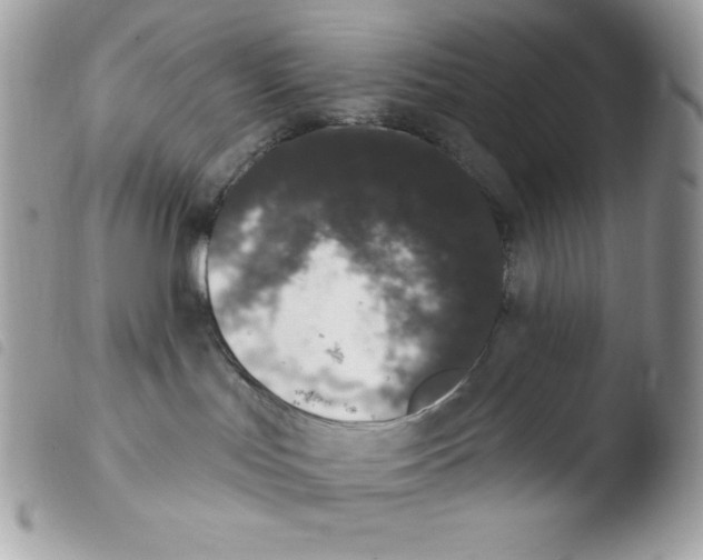 X0000103930047200810171801