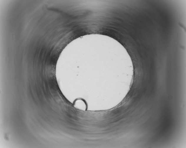 X0000103930048200810171801