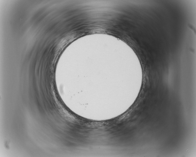 X0000103930049200810171801