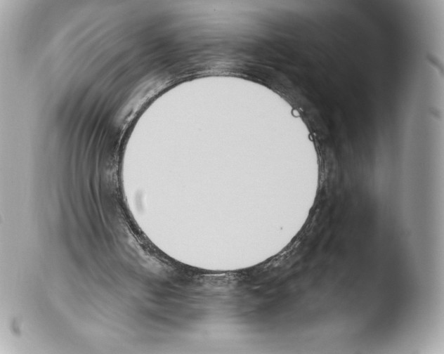 X0000103930050200810171801