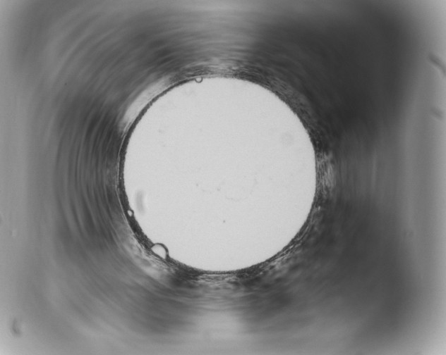 X0000103930051200810171801