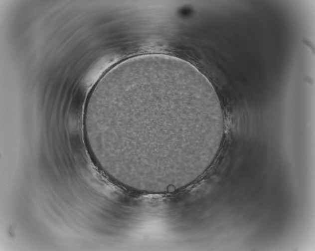 X0000103930052200810171801