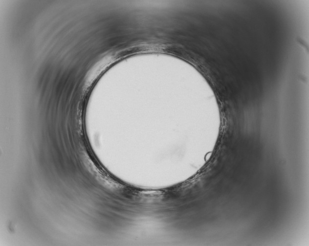 X0000103930053200810171801