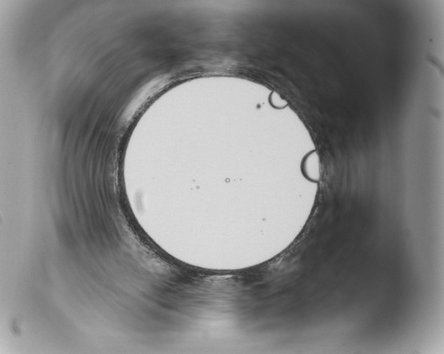 X0000103930054200810171801